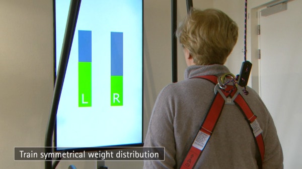 Интерактивные приложения C-Mill: Распределение веса